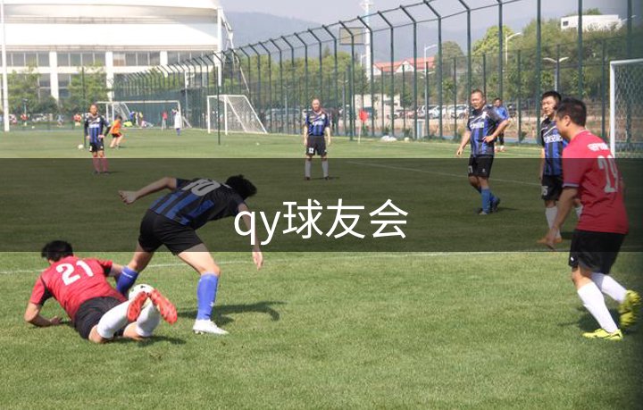 公司构成