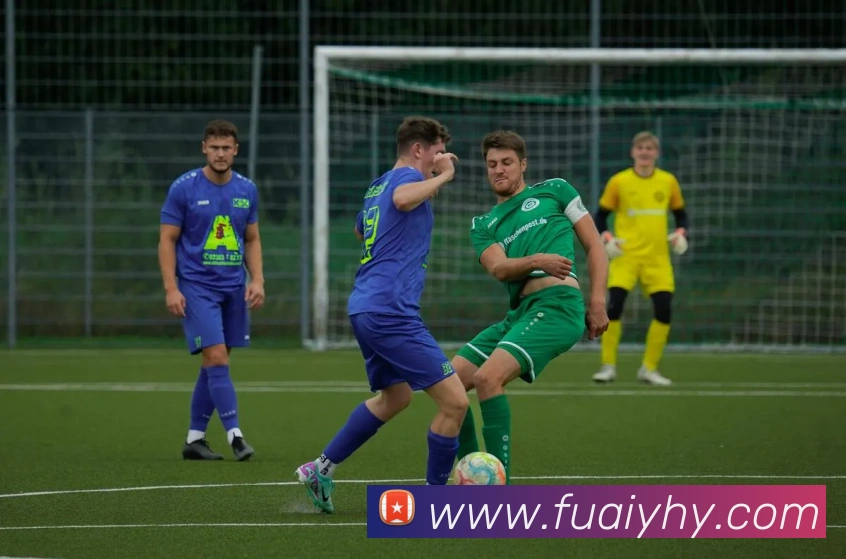 世界杯官方入口服务体系